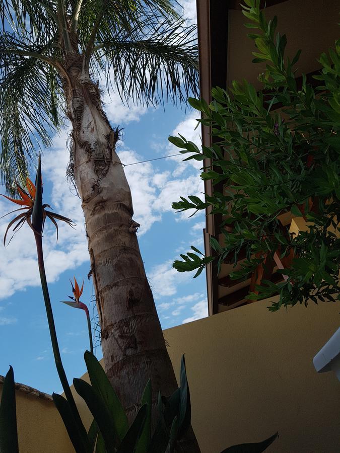 سان فيتو لو كابو B&B Aloe Comfort Rooms المظهر الخارجي الصورة