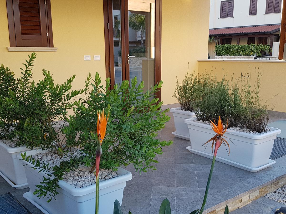 سان فيتو لو كابو B&B Aloe Comfort Rooms المظهر الخارجي الصورة